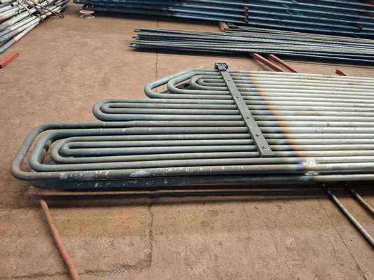 고압 CFB 보일러 운전을 위한 뱀 모양 튜브 맞춤형 설계