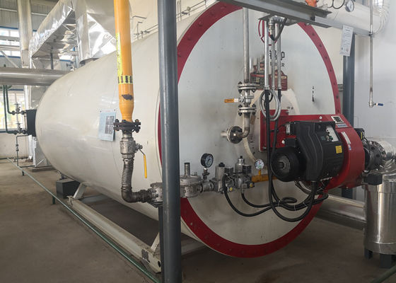 높은 안전 수준을 가진 0.7MW 유기 디젤 연료 증기 보일러
